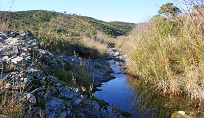 Riera de La Valleta